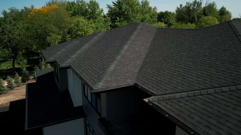 Best Chimney Flashing Repair  in Forest Lake, MN