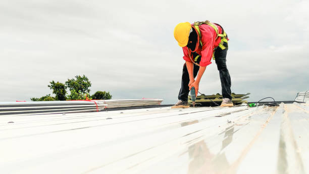 Best Chimney Flashing Repair  in Forest Lake, MN