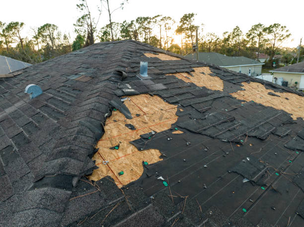 Best Rubber Roofing (EPDM, TPO)  in Forest Lake, MN