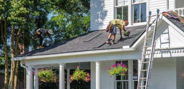 Best Roof Coating and Sealing  in Forest Lake, MN